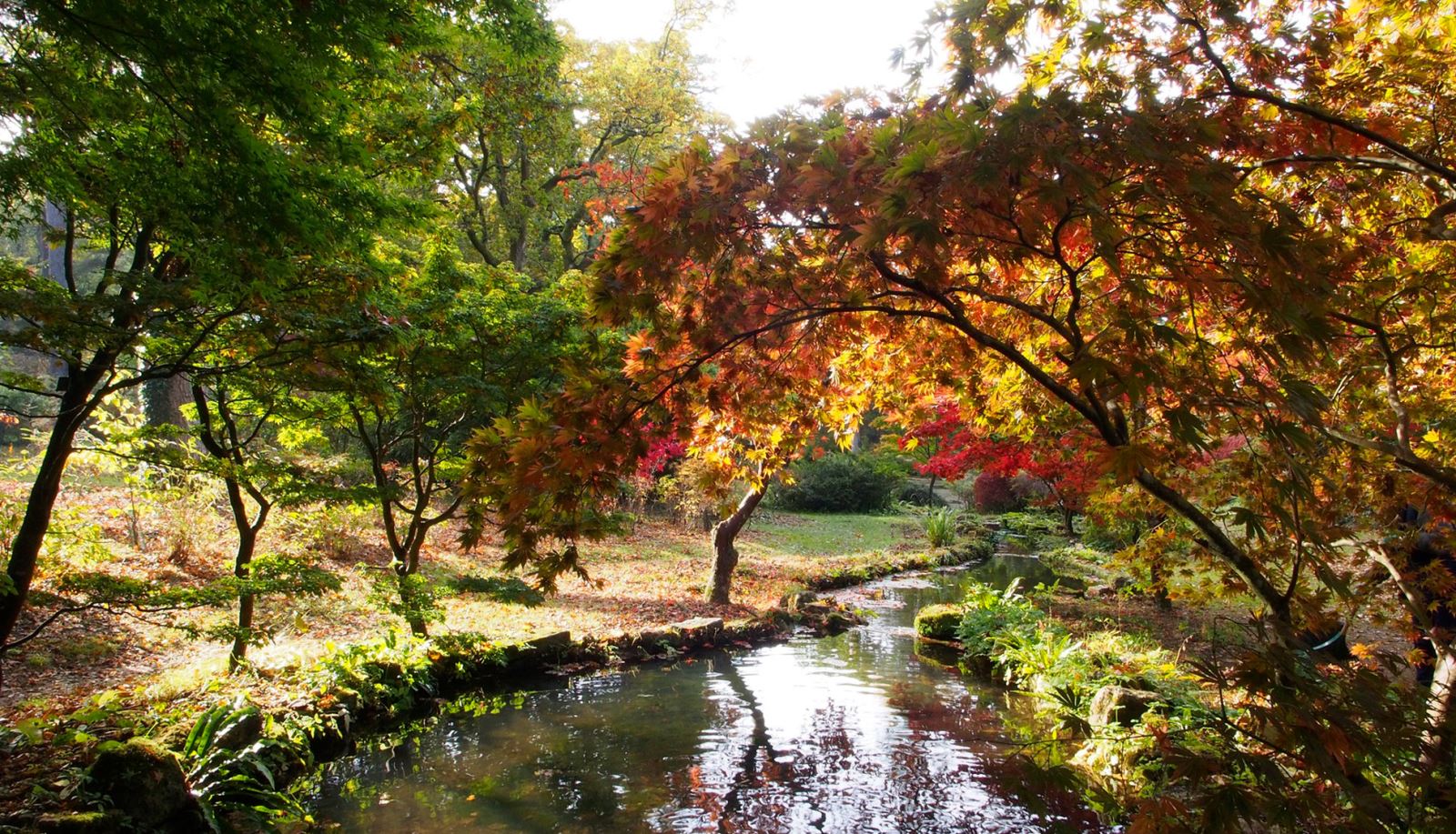 Exbury Gardens